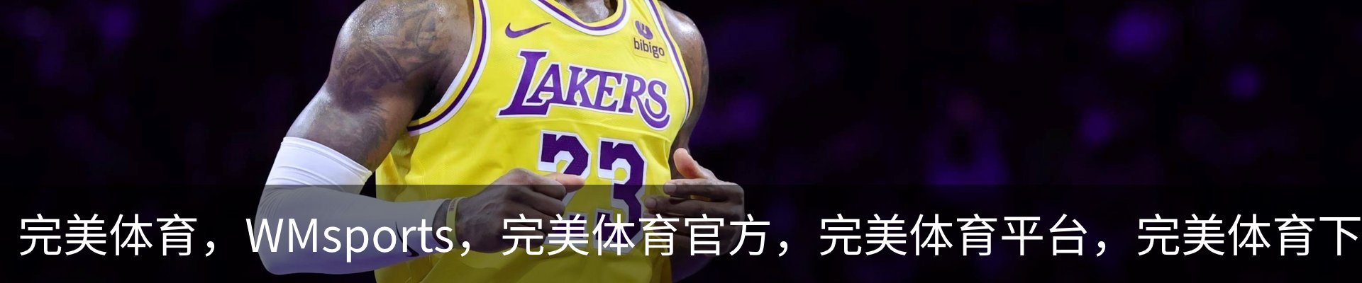 完美体育，WMsports，完美体育官方，完美体育平台，完美体育下载案例